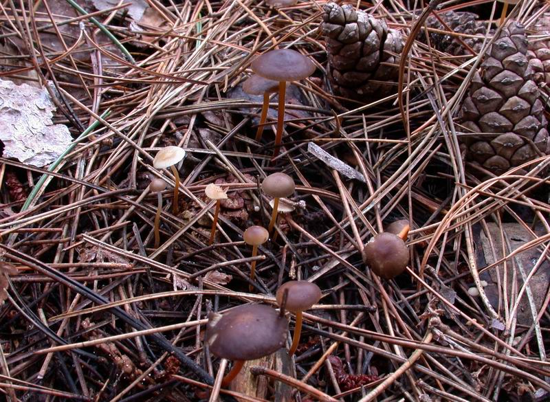 Prima escursione in montagna